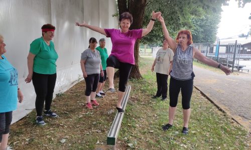 Festival aktivnega staranja v Šentvidu