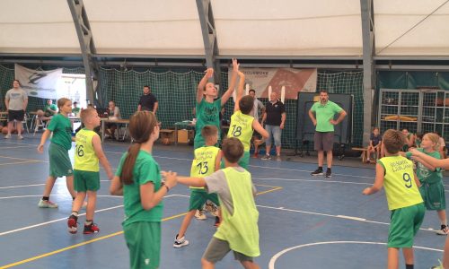 Slovenija v gibanju – Dan košarke v Šentvidu